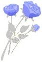 Rose Rose